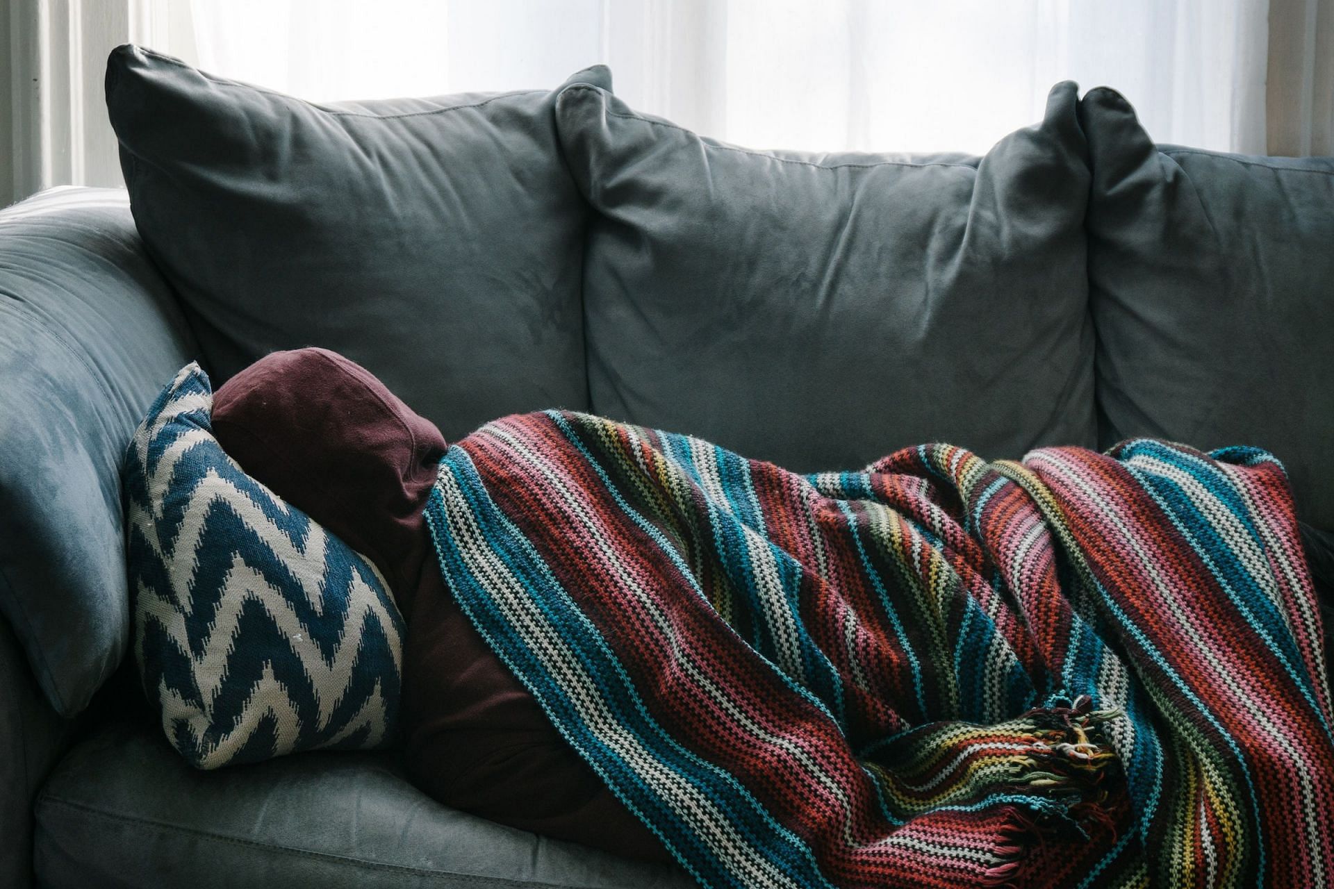 Mold Sickness (Image via Unsplash/Rex Pickar)